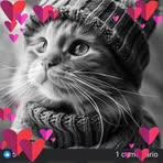 Nery Castillo Conde - Facebook