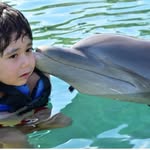 Nery Cortes - @nery.cortes.9 - Instagram