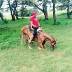 JOSE NERY ENRIQUEZ - @enriquezrosalesj - Instagram
