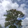 Nery Lopez - @nery.lopez174 - TikTok
