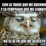 Nery Monroy - @nery.monroy.796 - Instagram