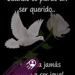 Nery Ortiz - Facebook