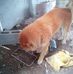 Nery Portillo - Facebook