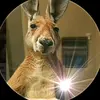 Nery Rodriguez - @nery.rodriguez57 - TikTok