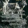 Nery Rosales - @nery.rosales8 - TikTok