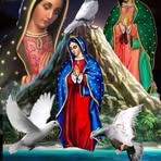 Nery Rosales - Facebook