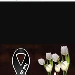 Nery Ruiz - @nery.ruiz.97539 - Instagram