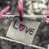 Nery Saenz - @nery.saenz6 - TikTok