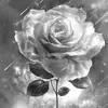 Nery Solis - @nery.solis85 - TikTok