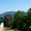 nese_kaya - @nese_kaya2 - TikTok