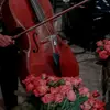 Neşe Kaya - @nese_kaya21 - TikTok