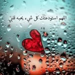 Nessma Alrabie Elshaikhy - @nessmasalem2014 - Instagram
