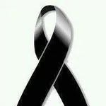 Nestor Arce - @arcenestor - Instagram