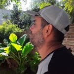 Nestor Arce - @nestor.arce.1044 - Instagram