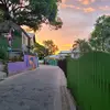 Nestor Castro - @nestor.castro861 - TikTok