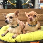 Nestor&Hash - @nestorandhash - Instagram