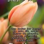nestora Delgado morejon - @nestoradelgadomorejon - Instagram