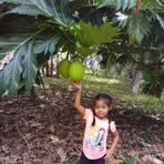 Nestor Paz - Facebook