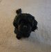 Tammy Nestor-Phillips - Facebook