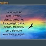 Nestor Roque - @nestorroquesanchez - Instagram