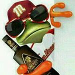 Néstor - @_nestor_salas - Instagram