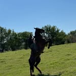 Nestor Tejada - @nestortejada169 - Instagram