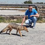 Nestor Rene Williams - @nestorrenew - Instagram