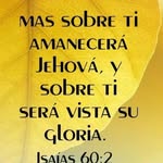 Nestor Williams Larios Flore - @nestorwilliamslarios - Instagram