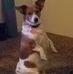 Nettie Gilbert - Facebook