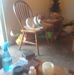 Nettie Gilbert - Facebook