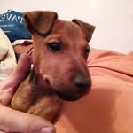 Nev Smith - @new.smith.18 - Instagram