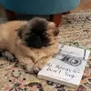 Neva Bell - @nevabellbooks - TikTok