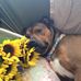 Neva Davidson - Facebook