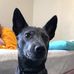 Nevaeh Dunn - Facebook
