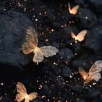 Neva Howard - Facebook