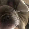 Nevaeh - @nevaehmatthews42 - TikTok
