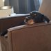 Neva Stanley - Facebook