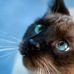 Neva Gaile Tanner - Facebook