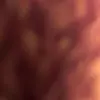 Alex aabc(3747328 - @nevaehvarner2 - TikTok