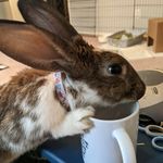 Neva Varner - @neva.varner - Instagram