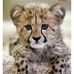 Walter Neva - Facebook