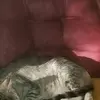 Nevaeh Wells - @nevaeh.wells8 - TikTok