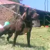 Nevade Werner - @nevade.werner - TikTok