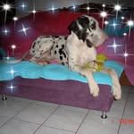 Rheno Nevada Cooper - @rhenonevada - Instagram