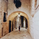 Hunter - @_nevada_hunter_asw3 - Instagram