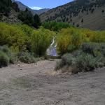 Hunting Is A Way Of Life - @nevadahunter - Instagram