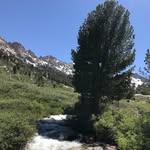 Nevada Hunter - @nv_hntr - Instagram