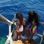 Nevada - @_nevada_____steele_kvc1k - Instagram