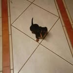 Nevaeh baker - @yogurlnevaeh2024 - Instagram