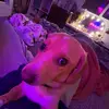 nevaeh.baker - @nevaeh..baker - TikTok